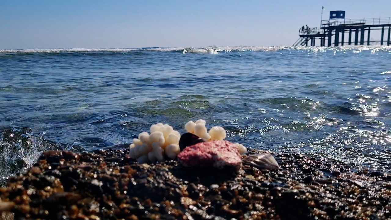 Strand Coral Hills Resorts & SPA