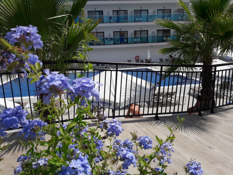 Ausblick Hotel Best Costa Ballena