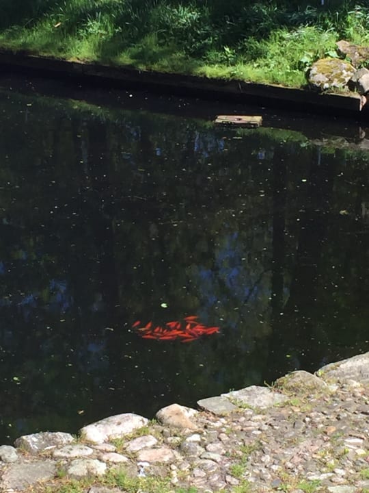 Gartenanlage Golfpark Gut Düneburg