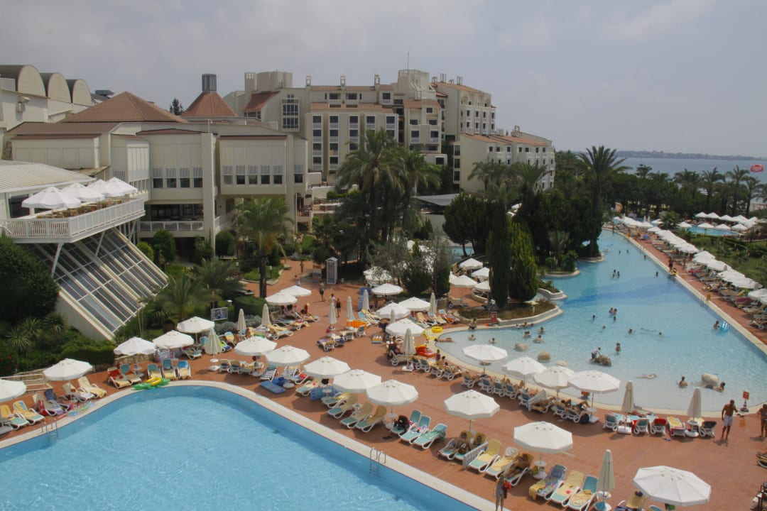 Sentido PALOMA Perissia