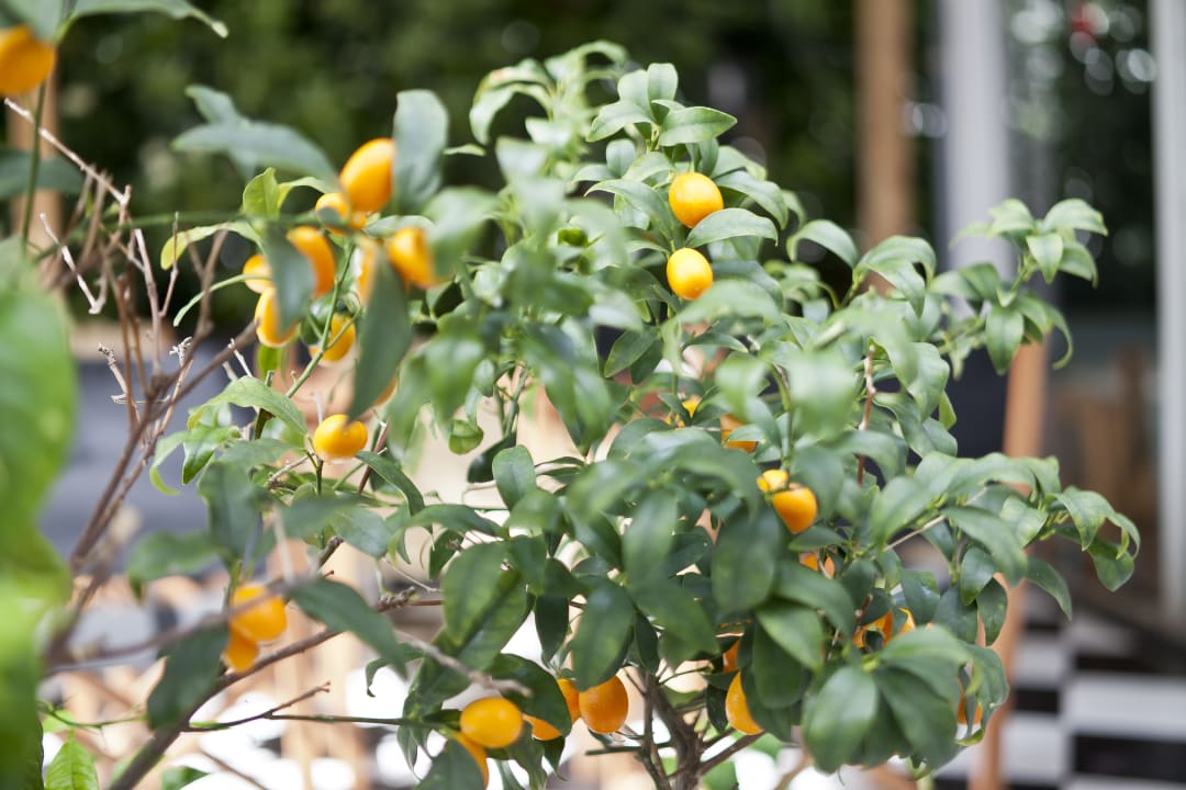 Sonstiges Hotel Cala Bona - Mar Blava