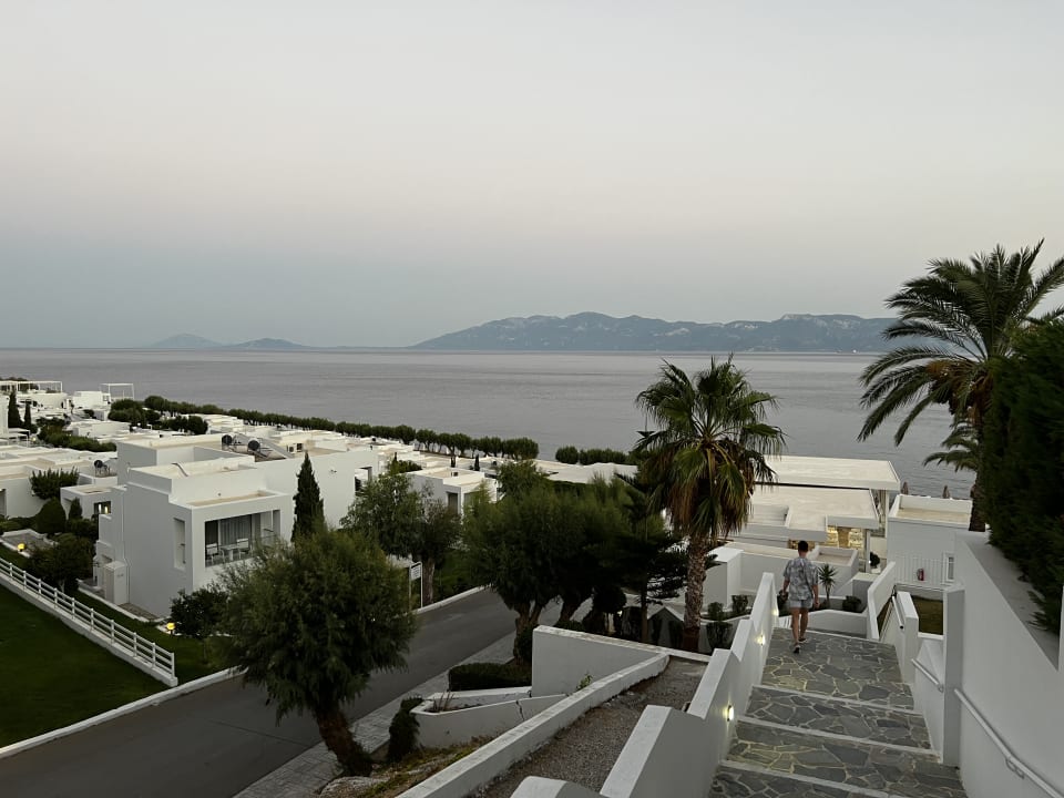 Ausblick Dimitra Beach Hotel & Suites