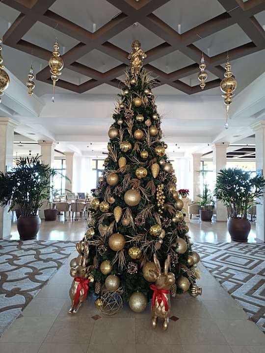 Lobby Secrets Bahia Real Resort & SPA