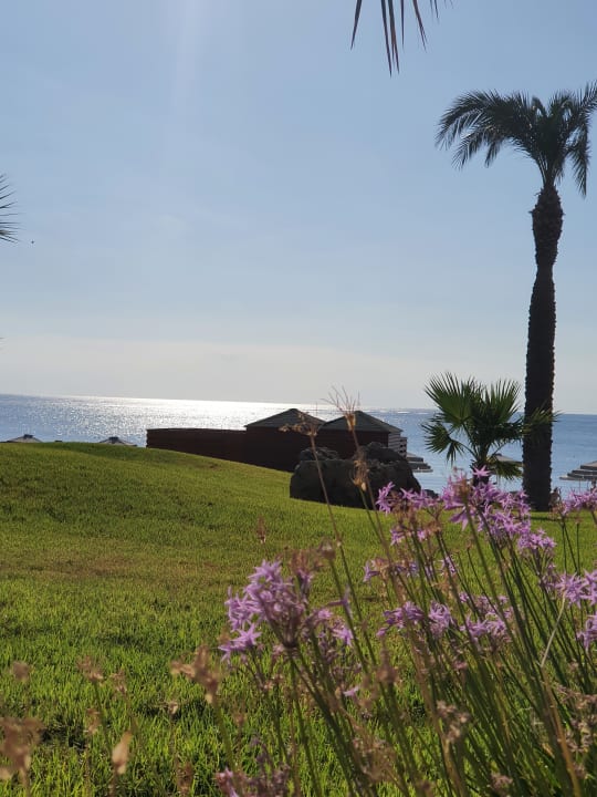 Ausblick Rodos Palladium Leisure & Wellness