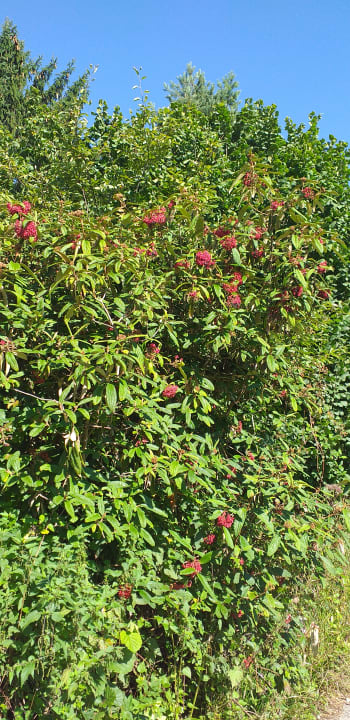 Ausblick Landhotel Maiergschwendt
