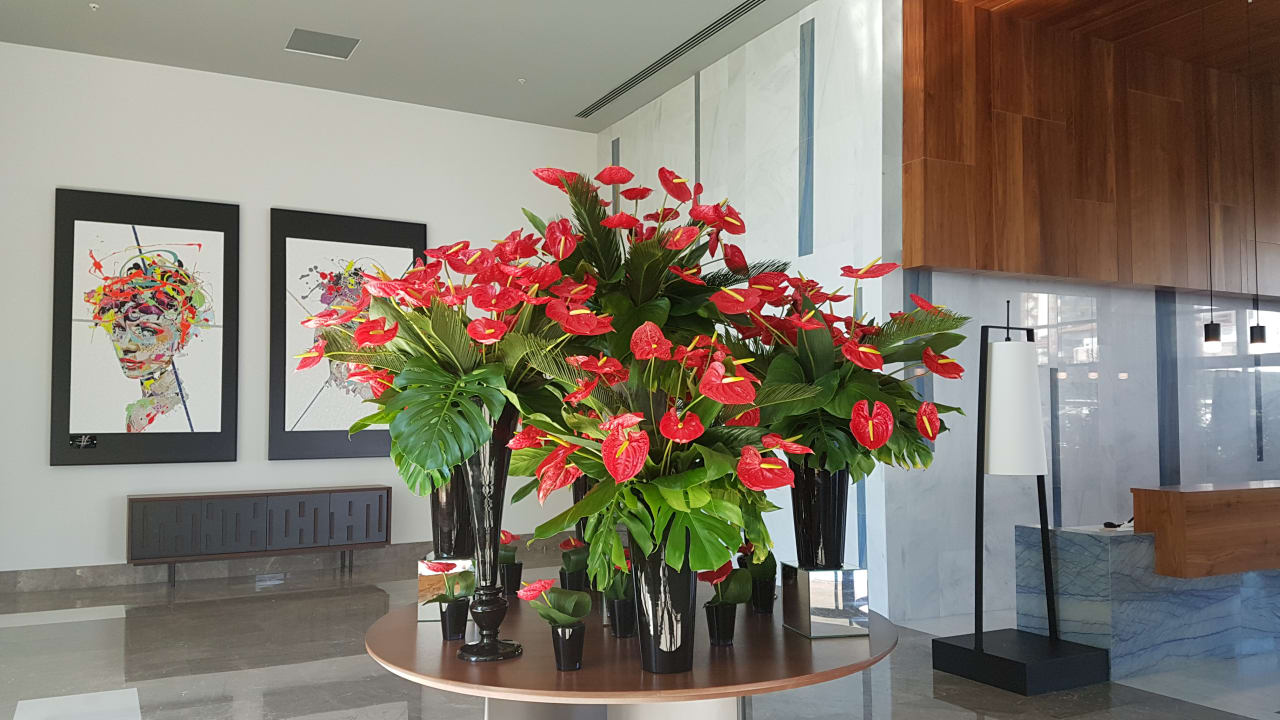 Lobby Acanthus Cennet Barut Collection
