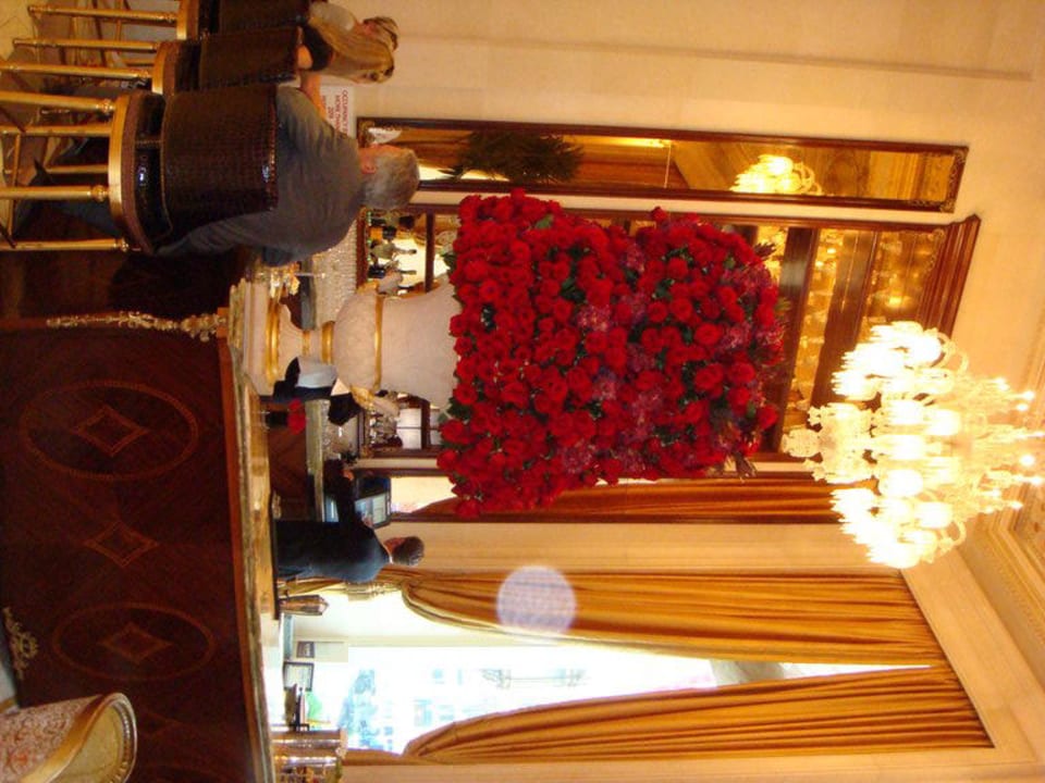 Champagner Bar The Plaza