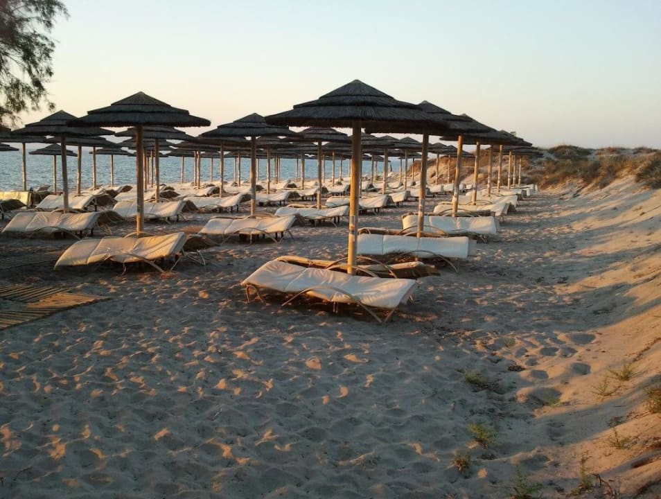 Morgens um 8 Uhr TUI BLUE Palazzo del Mare