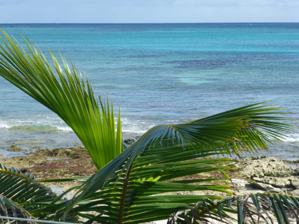 Strand Akumal Bay Beach & Wellness Resort