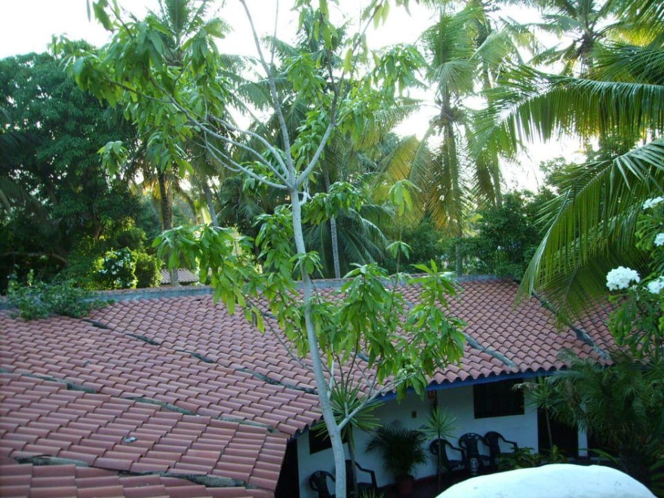 Blick von der Zimmerterrasse Hotel Miramar Village