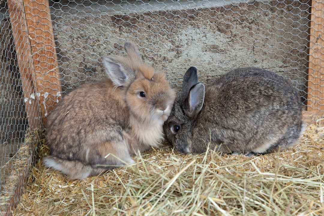 Sonstiges Ferienwohnungen Stöcklhof