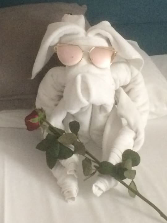 Zimmer Dream World Resort & Spa