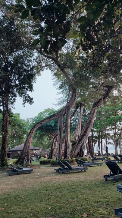 Außenansicht Khao Lak Merlin Resort