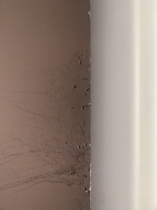 Zimmer Hotel Defne Garden