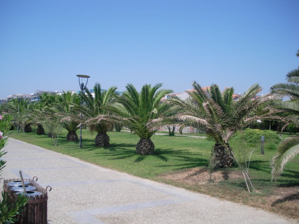 Promenade Aydinbey Kings Palace & Spa