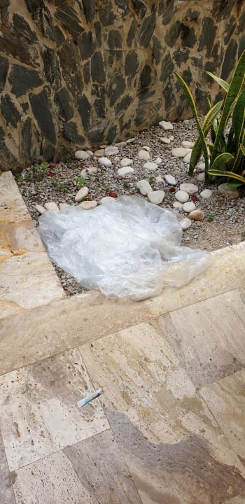 Gartenanlage Grand Palladium Select Bávaro Resort & Spa