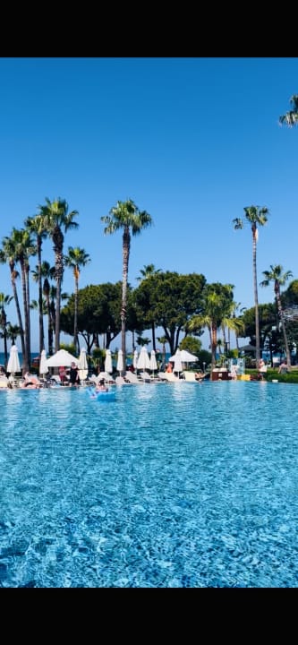 Pool Acanthus Cennet Barut Collection