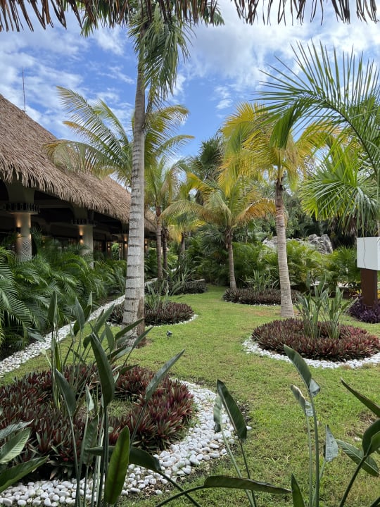 Gartenanlage TRS Yucatan Hotel - Adults only