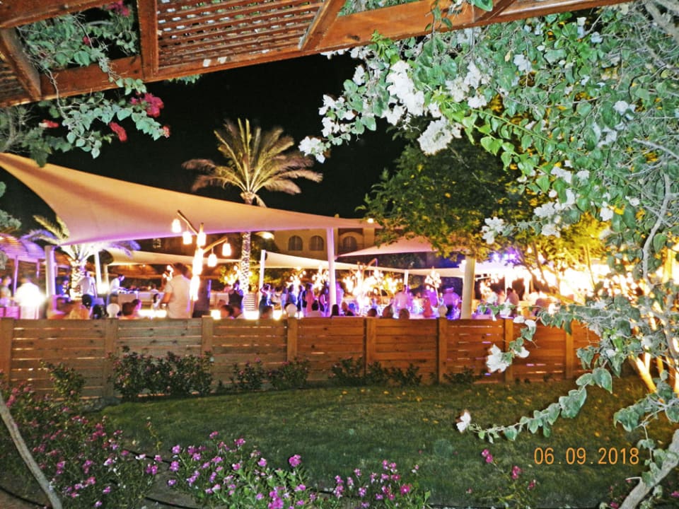 Gartenanlage Desert Rose