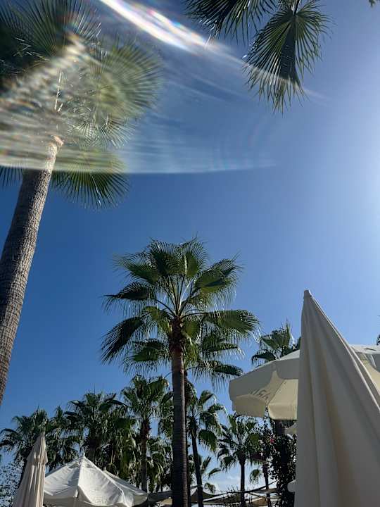 Pool Aria Resort & Spa