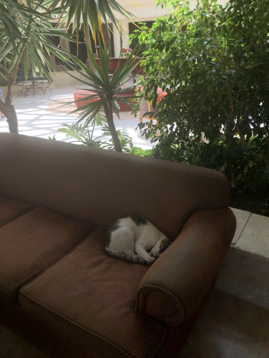 Lobby The Grand Hotel Hurghada