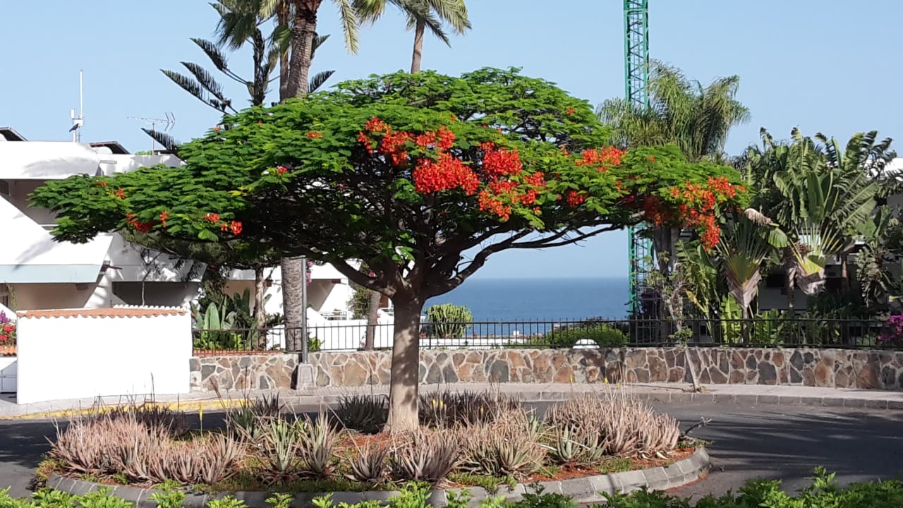 Balkonblick Apartments Paraguay