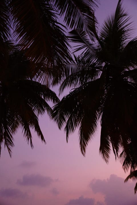 Sonnenuntergang Mirihi Island Resort