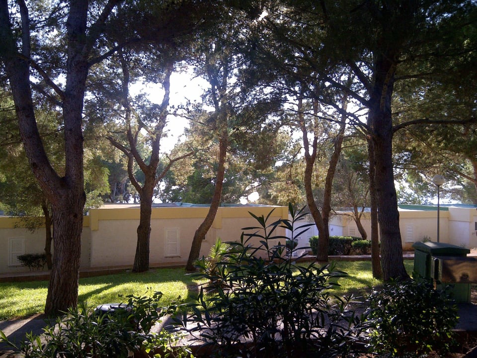 Parkanlage Sun Club Eldorado