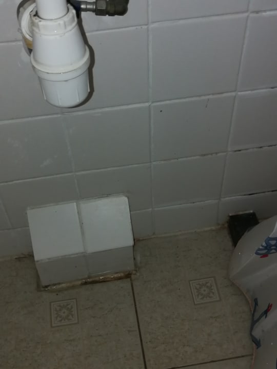 Zimmer Hotel Holland Lodge