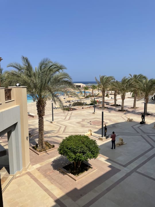 Ausblick Lazuli Hotel Marsa Alam