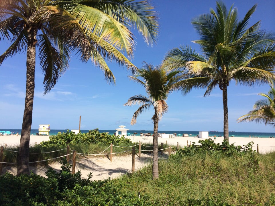 Direkt hinter dem Hotel Hotel The National