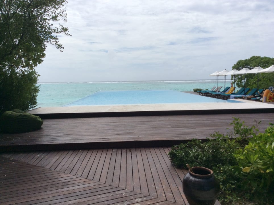 Pool Summer Island Maldives