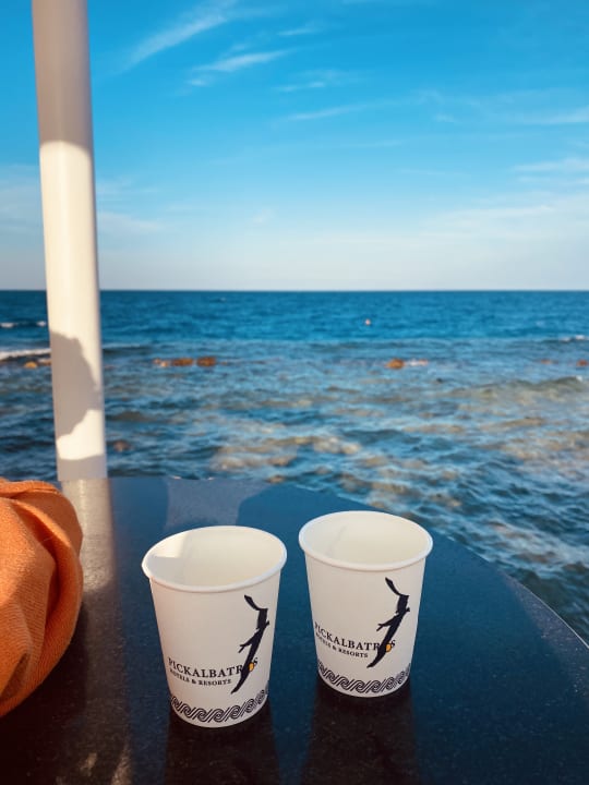 Strand Pickalbatros Citadel Resort