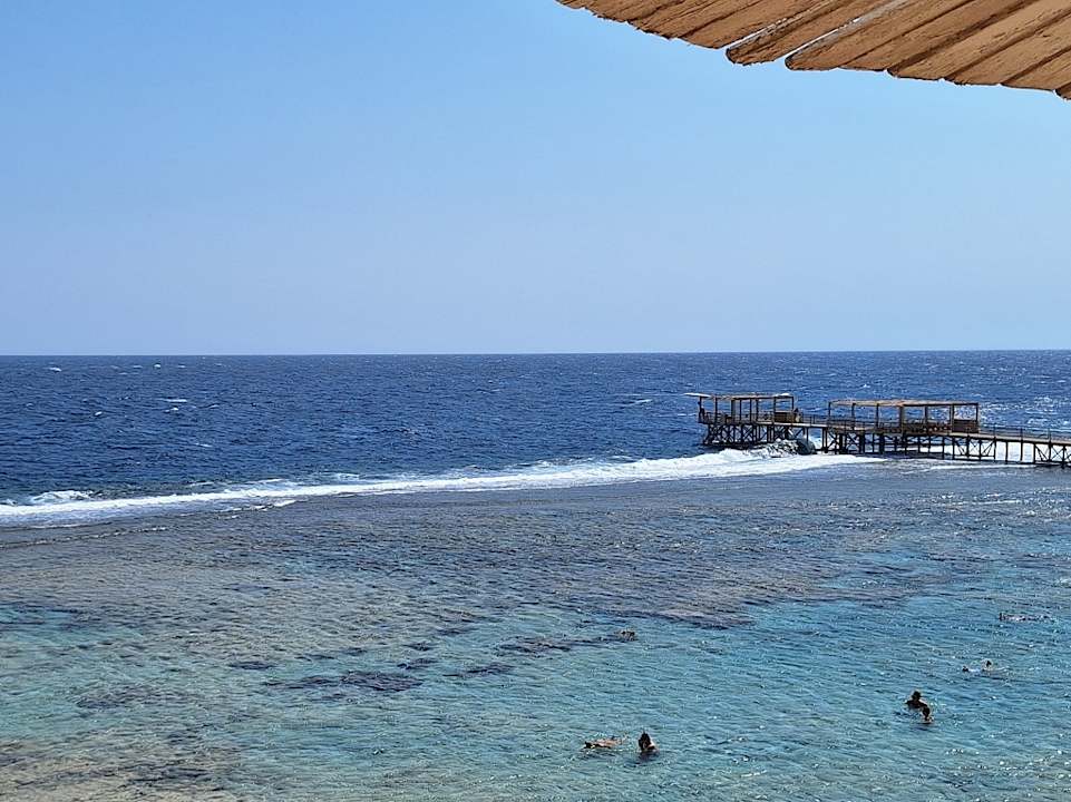 Strand JAZ Neo Reef Marsa