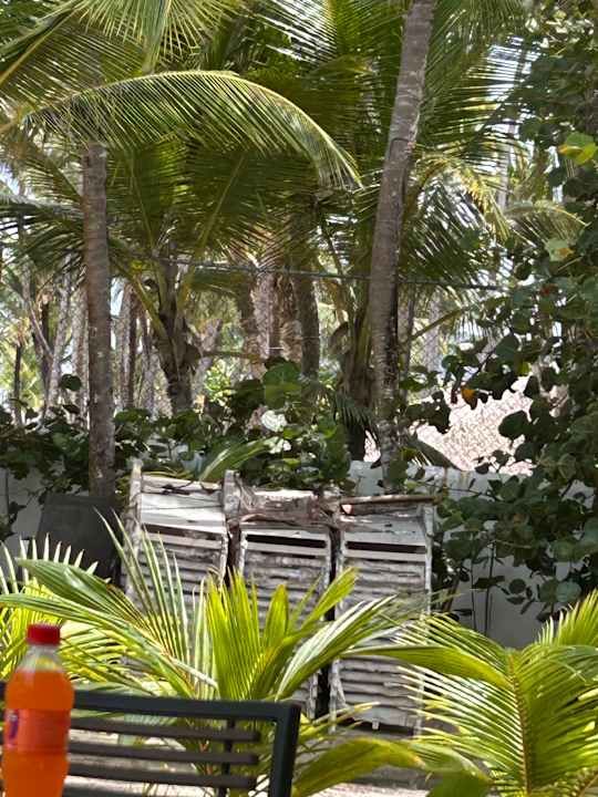 Strand Hotel Riu Palace Bavaro