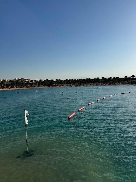 Ausblick Desert Rose