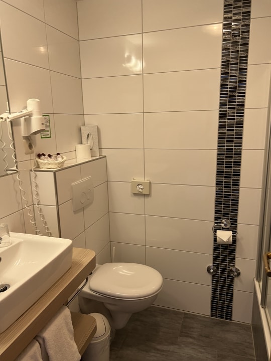 Zimmer Moselstern Hotel Brixiade & Triton