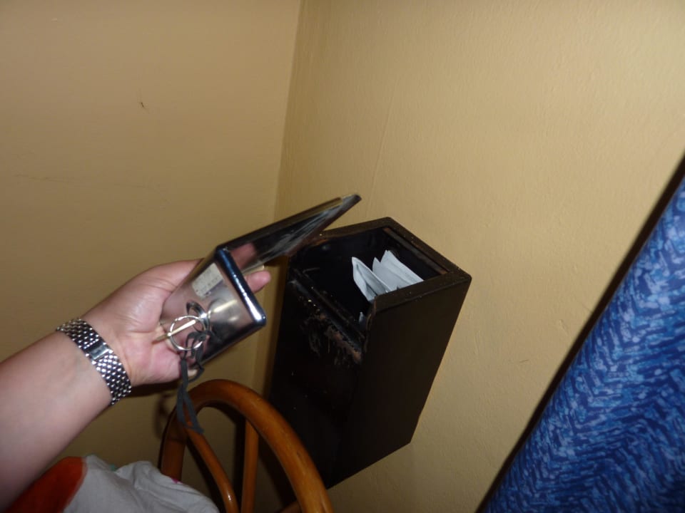 Safe whala!boca chica