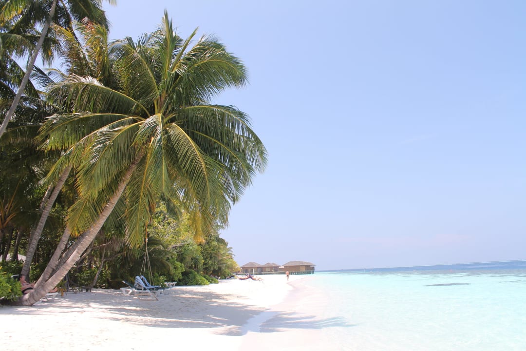Blick richtung JWV Vilamendhoo Island Resort & Spa