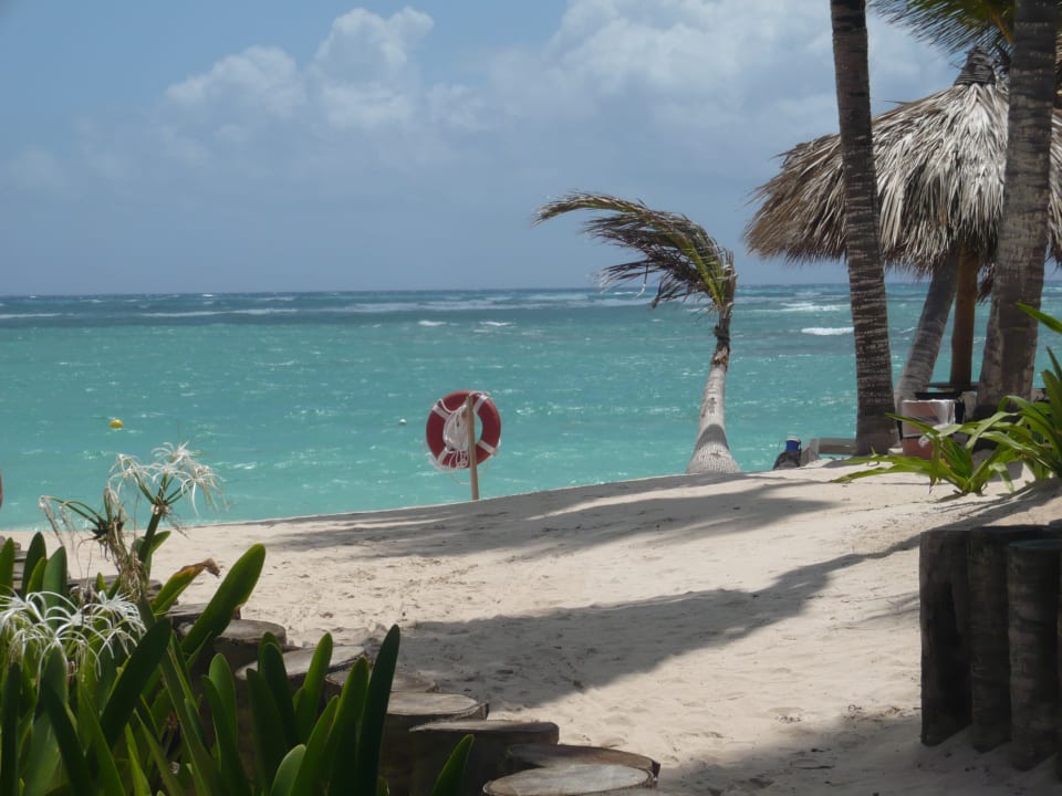 Einfach nur schön. Hotel Grand Palladium Palace Resort, Spa & Casino