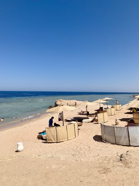 Strand Serenity Alma Heights