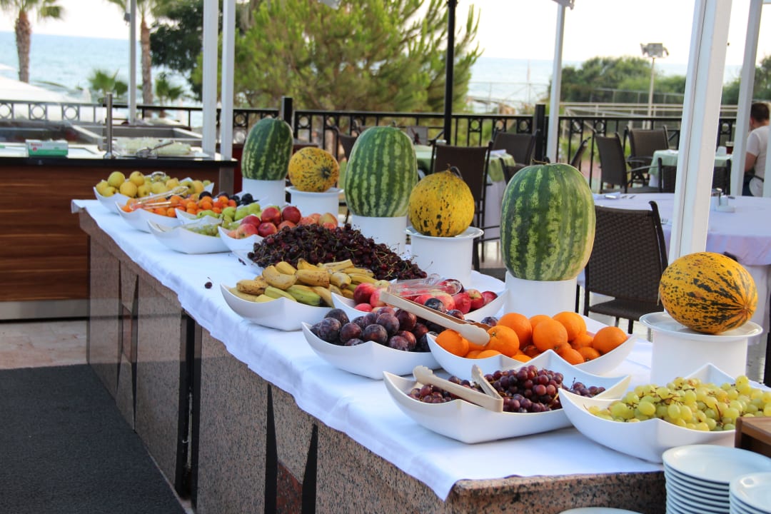 Alles, was man möchte. Papillon Belvil