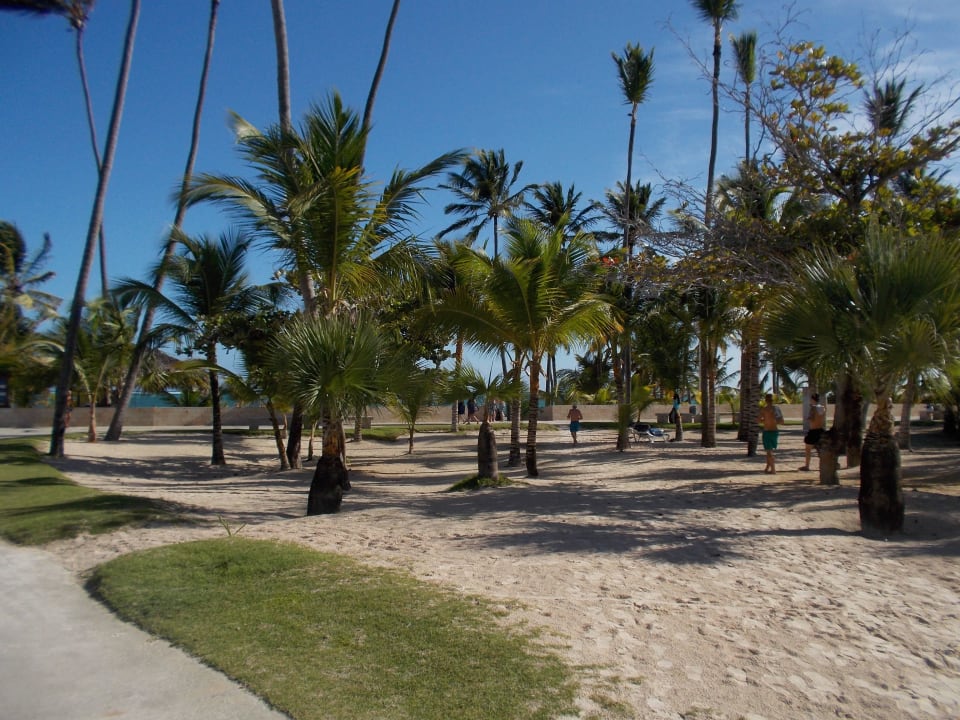 Weg zum Traumstrand Villas Bavaro Resort & Spa
