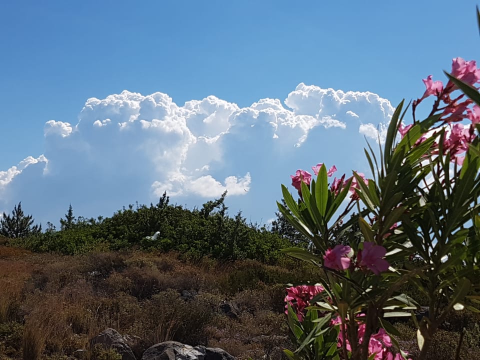 Ausblick Alkoclar Exclusive Alacati