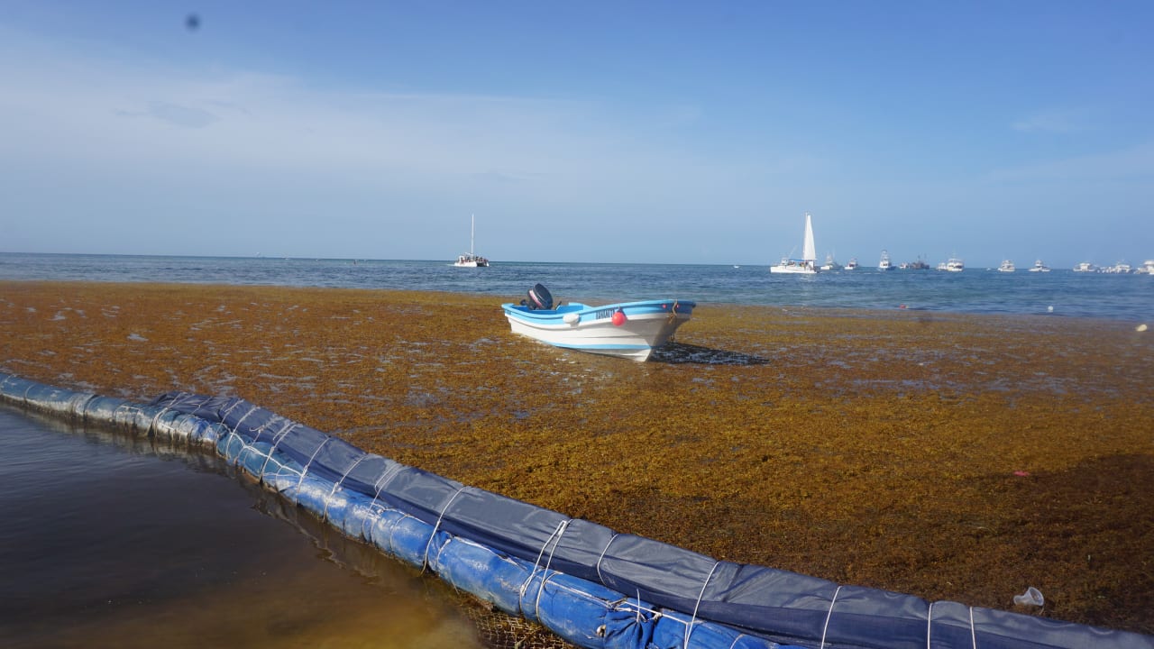 Strand Meliá Caribe Beach Resort-All Inclusive