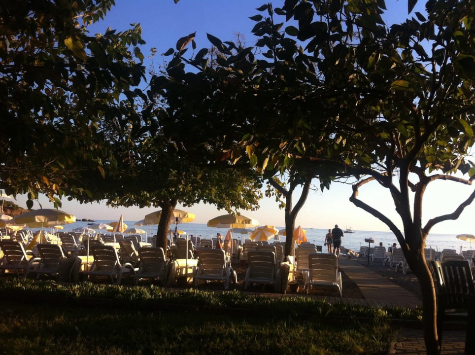 Strand Hotel Gardenia Beach