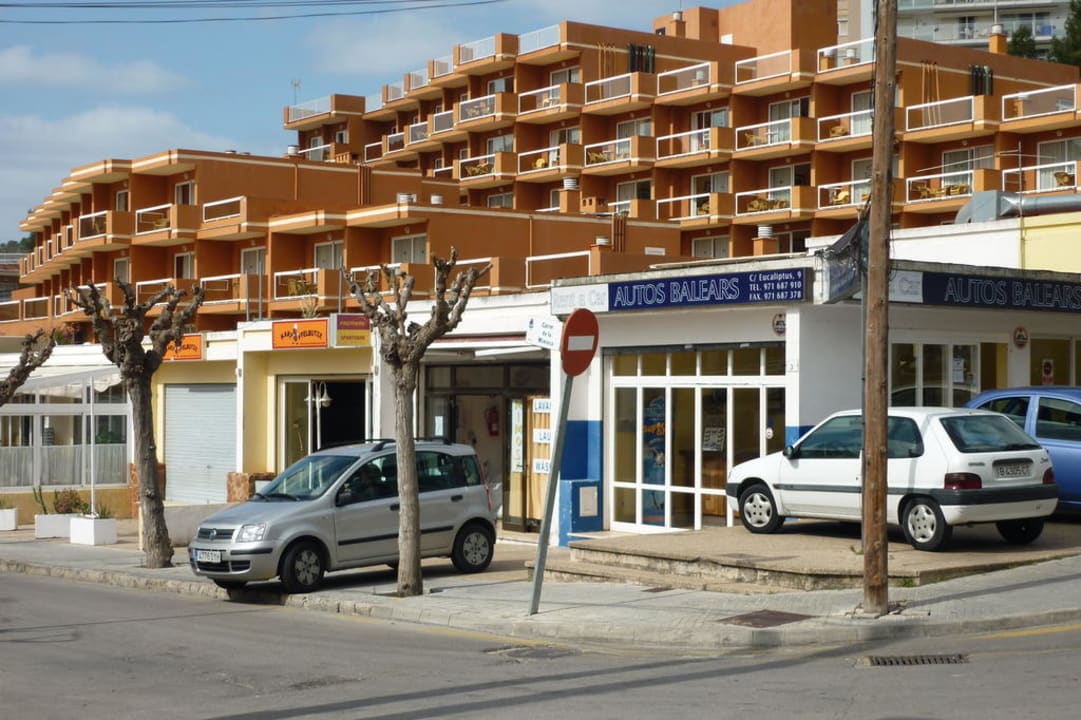 Hotel von Eucalyptusallee Hotel Aparthotel Paguera Beach