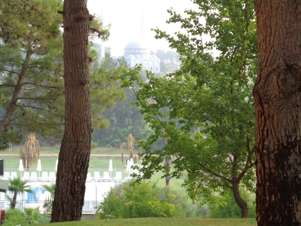 Blick auf den neuen Pool Club Sidelya Hotel