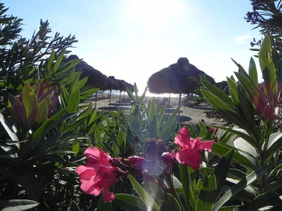 Wunderschöne Anlagen Voyage Belek Golf & Spa