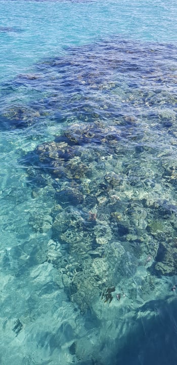 Strand Pickalbatros Jungle Aqua Park Resort - Neverland Hurghada